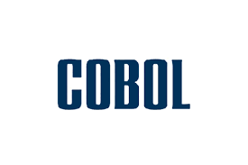 USAGE and COMP field declaration in COBOL - Display & Computational
