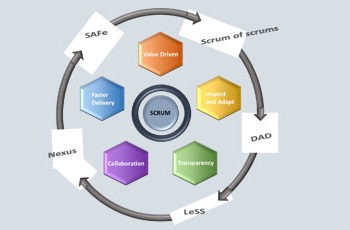 Evolving the Agile Organization