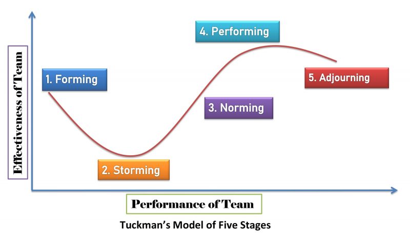 Tuckman Ladder Model